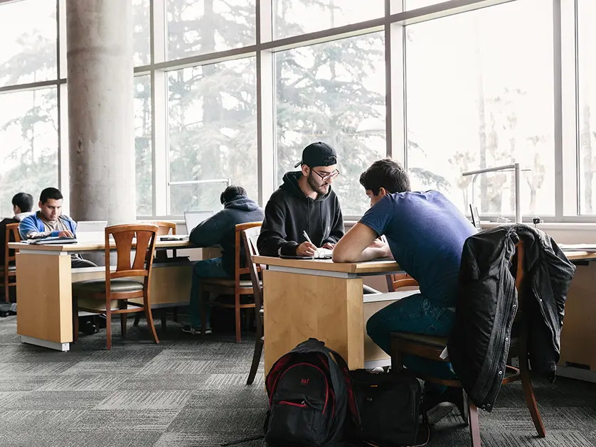 Students studying at the library desks