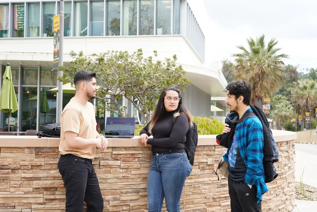 Students studying on campus