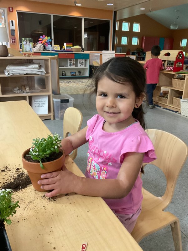 Earth Beautification Projects