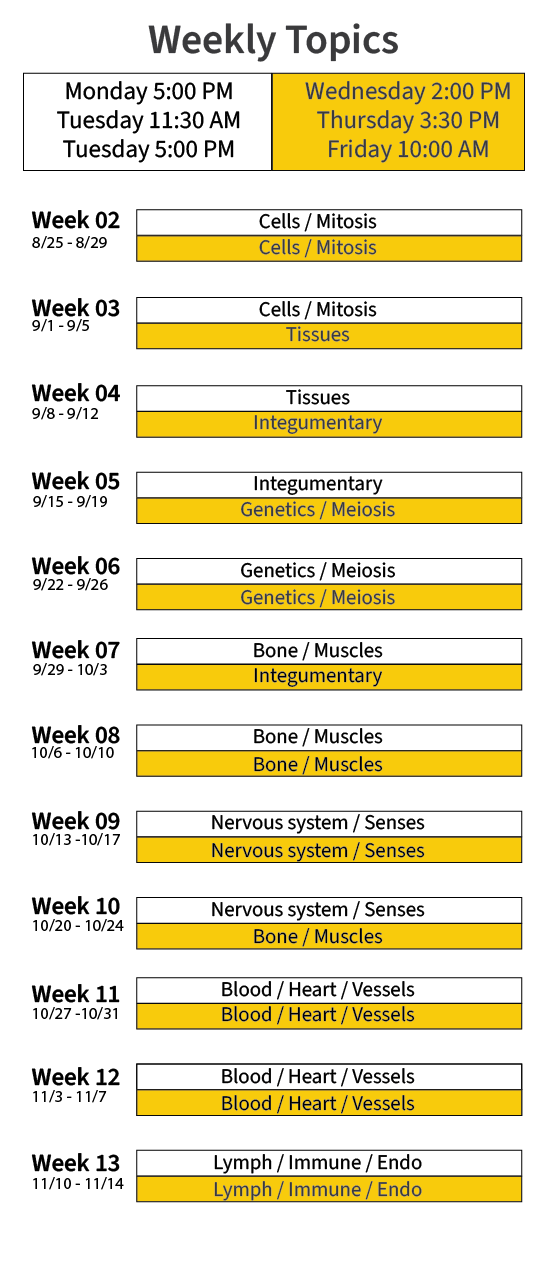 A schedule listing weekly topics and meeting times for a course, including subjects such as mitosis, tissues, genetics, bone, heart, and immune systems.