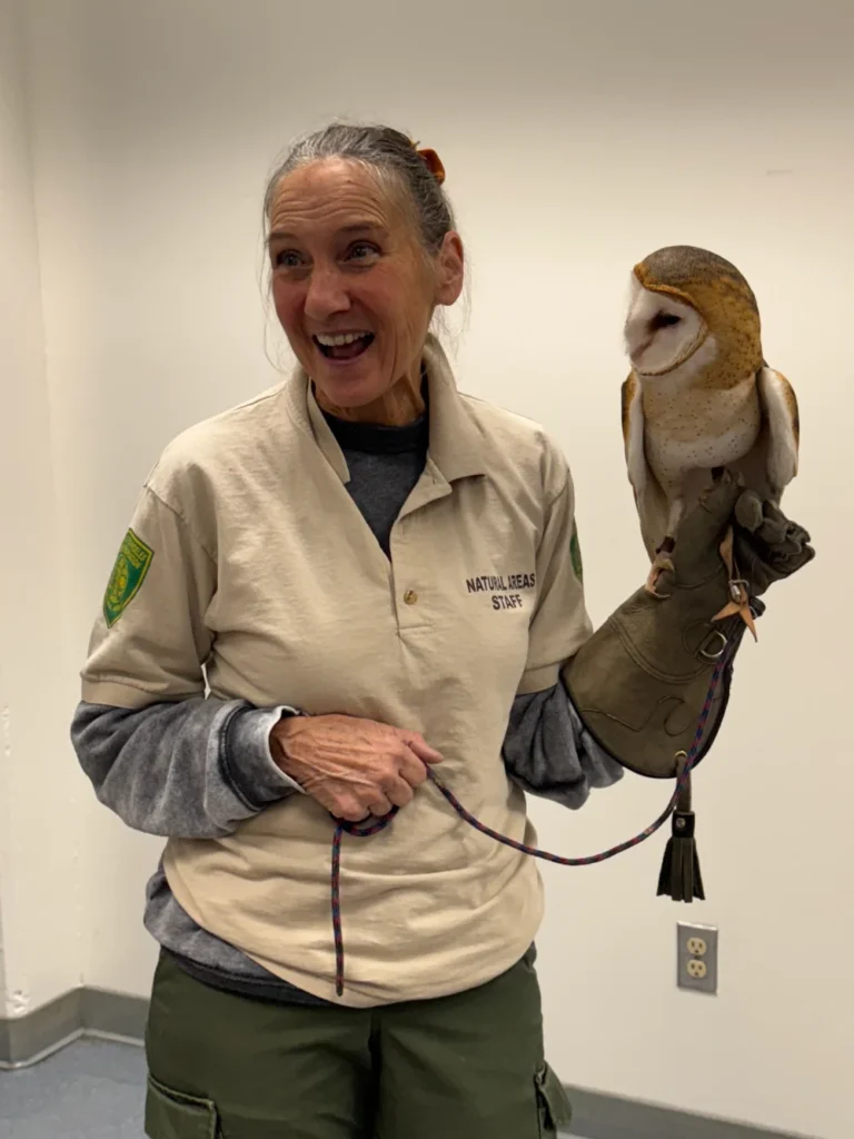 A woman wearing a "Natural Areas Staff" shirt holds a barn owl on her gloved hand, standing indoors against a plain wall.