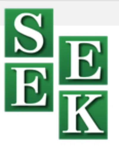 Green squares with white letters arranged in a grid spelling “SEEK.”.